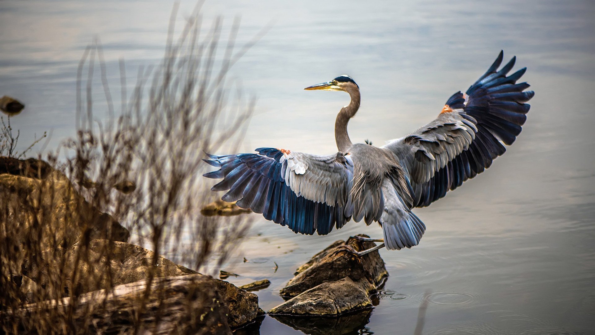 运动员运动表现提升计划，如何提升运动员的自我效能