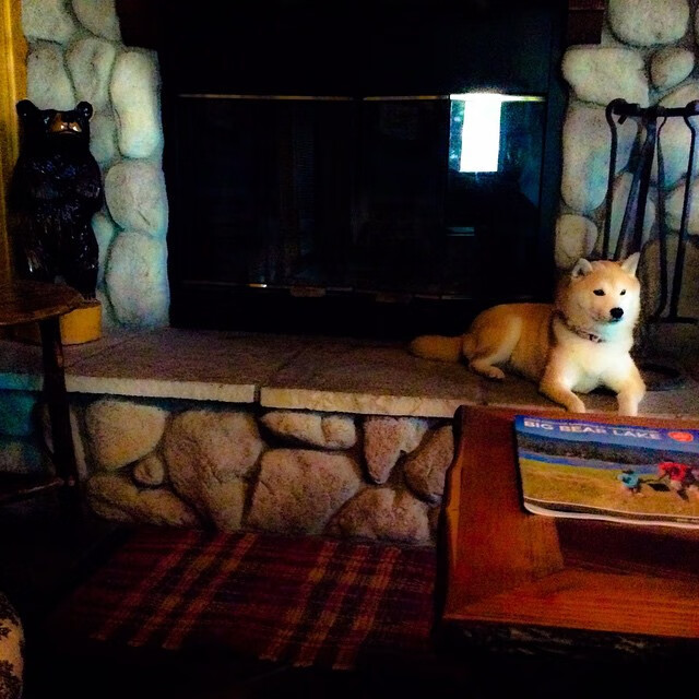 亚洲杯中国青年队平局 球迷认为结果合理，亚洲杯中国队名单