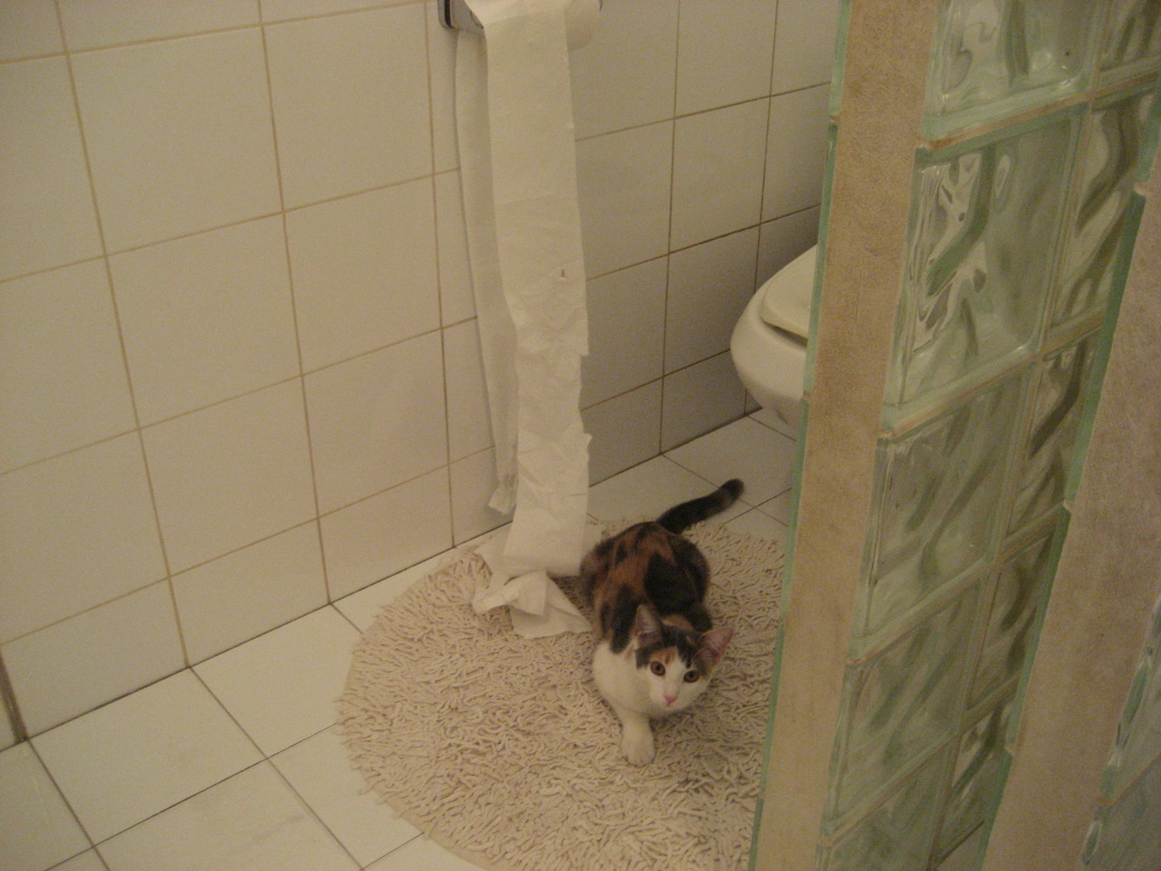 奥运代表团亮相仪式庄严隆重,奥运会参赛代表团