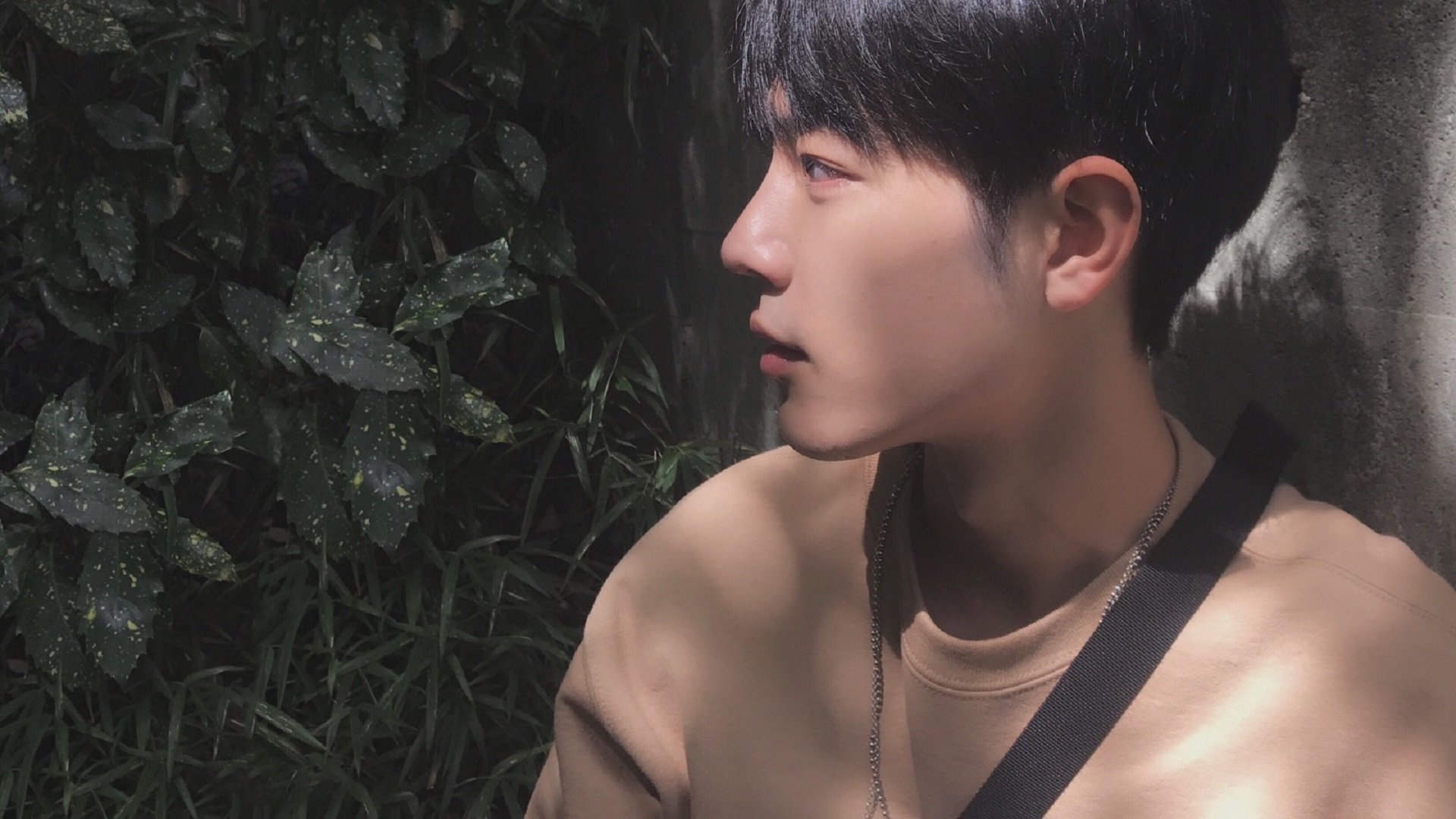 杨瀚森稳定发挥帮助球队持续维持领先优势，杨翰简介