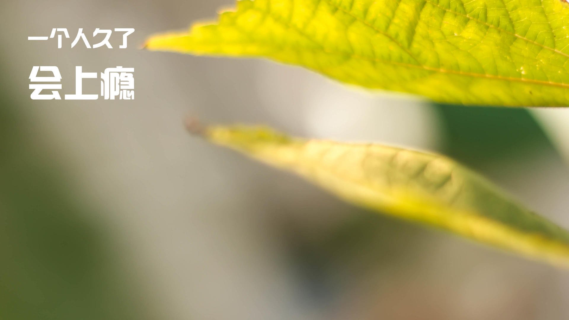 球员间配合默契,场上协同效率高,球队默契怎么提高