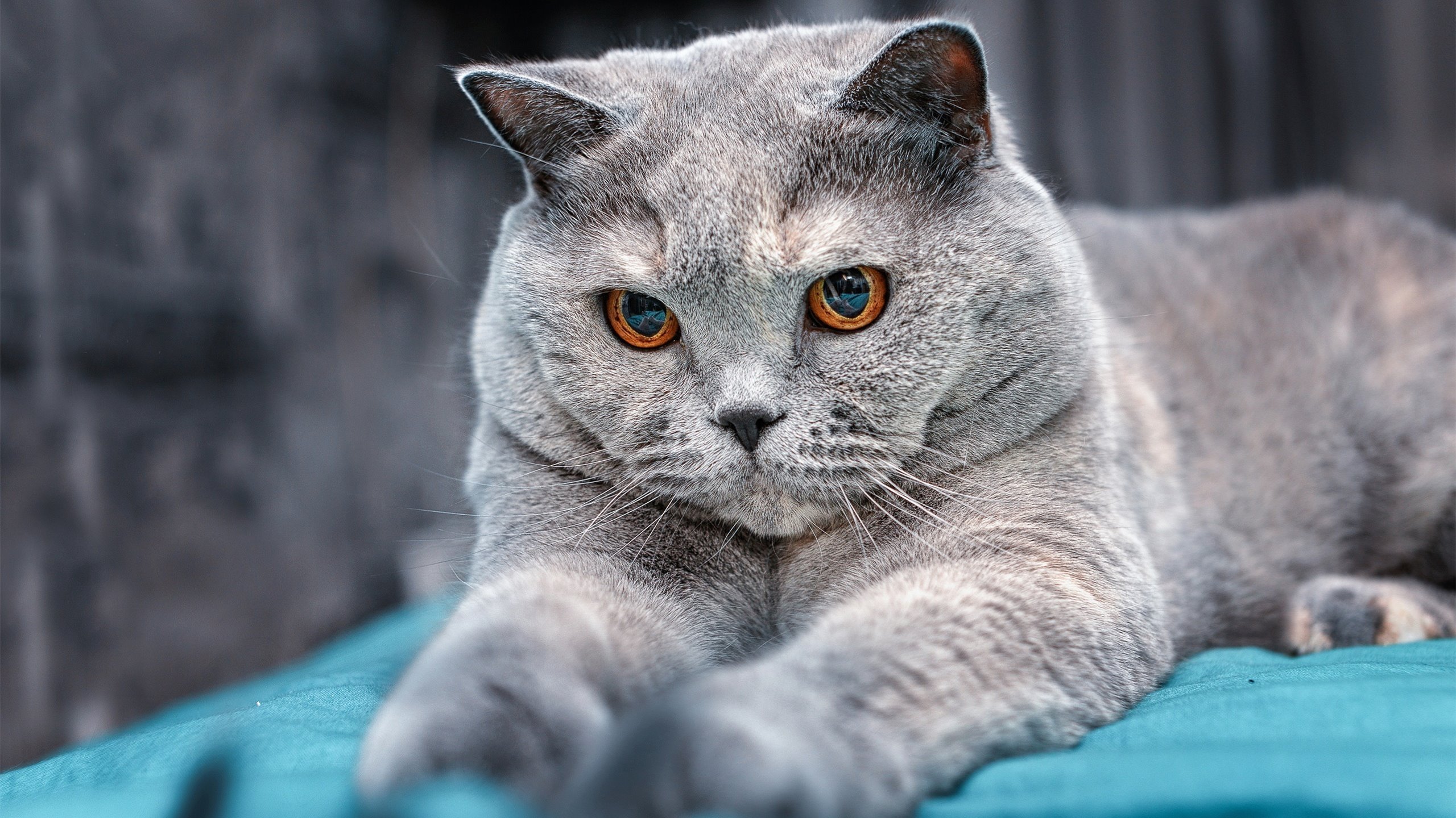 中学篮球开发趣味训练项目增强学生参与兴趣，中学篮球游戏