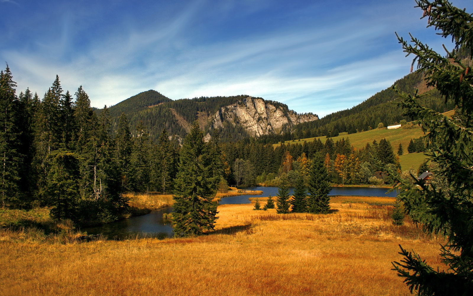 乔治·巴尔:全黑队中场的“防守堡垒”,控制比赛节奏