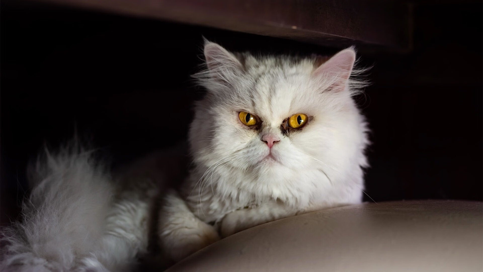 俱乐部战略目标调整关注长期发展与青训体系建设并重,俱乐部发展规划及思路