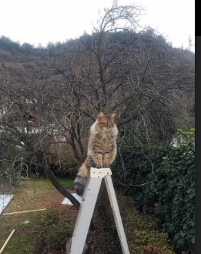 勇士公开训练视频播放量突破百万，勇士公开训练视频播放量突破百万