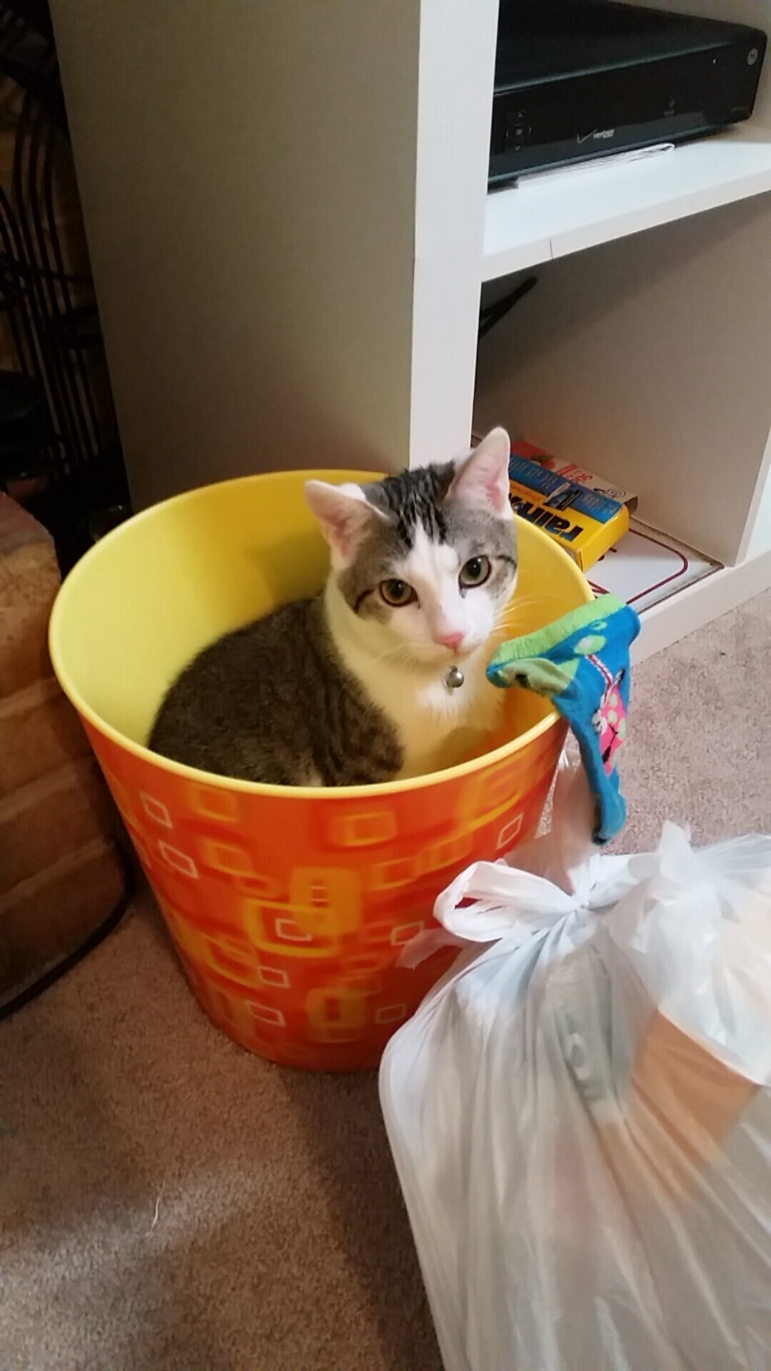 意甲团队协作：默契配合争夺胜利！，意甲合作伙伴